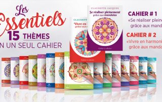 Cahiers regroupant 15 themes